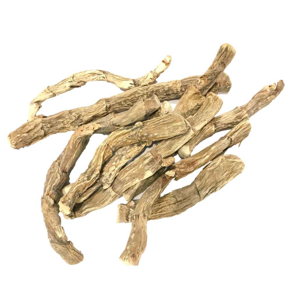 Bach ki kadi | Vach | Sweet Flag Root | Acorus Calamus - Branzia Herbs