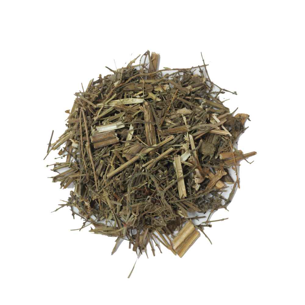 Badranj Boya | Arabian or Gentle Balm | Melissa - Branzia Herbs