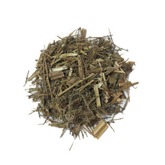 Badranj Boya | Arabian or Gentle Balm | Melissa - Branzia Herbs