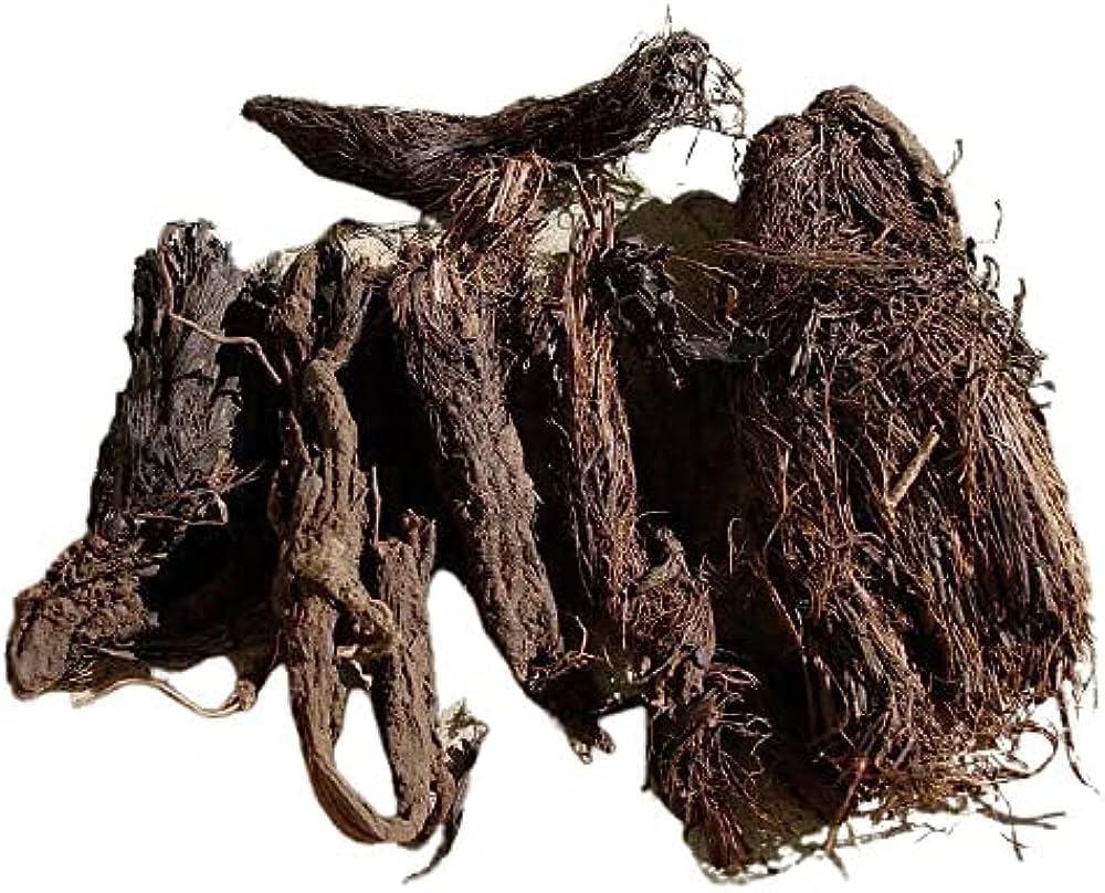 Jatamasi Root -Spikenard, Musk Root -Jatamansi - Nardostachys Jatamansi - Balchad-Baalchadd - Nard Indian - Branzia Herbs