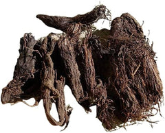 Jatamasi Root -Spikenard, Musk Root -Jatamansi - Nardostachys Jatamansi - Balchad-Baalchadd - Nard Indian - Branzia Herbs