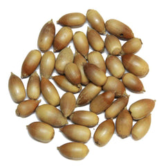 Baloot | Juft Baloot | Quercus incana - Branzia Herbs