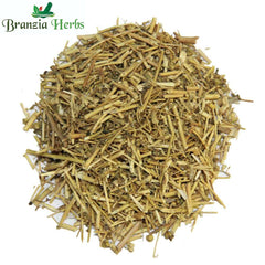 Berge Suddab | Barge Suddab | Ruta graveolens - Branzia Herbs