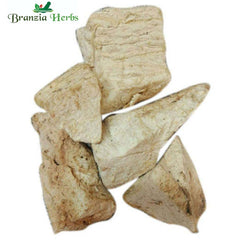 Vidarikand - Indian Kudzu - Pueraria Tuberosa - Branzia Herbs