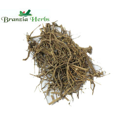 Sweet pellitory | Metha Akarkara | Tanacetum umbelliferum - Branzia Herbs