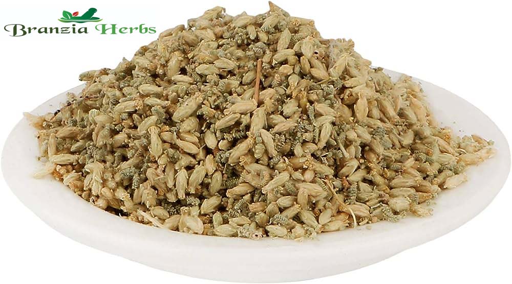 Brinjasif | Gandna | Yarrow | Achillea millefolium Linn - Branzia Herbs