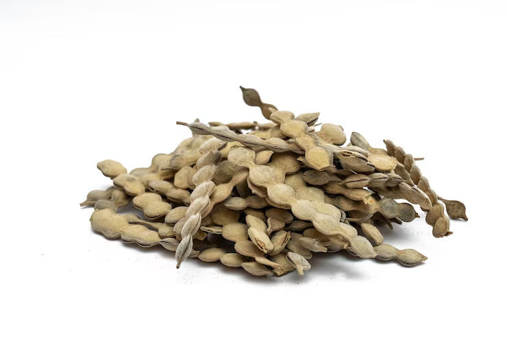 Babool phali or acacia arabica or kikar phali - Branzia Herbs