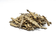 Babool phali or acacia arabica or kikar phali - Branzia Herbs