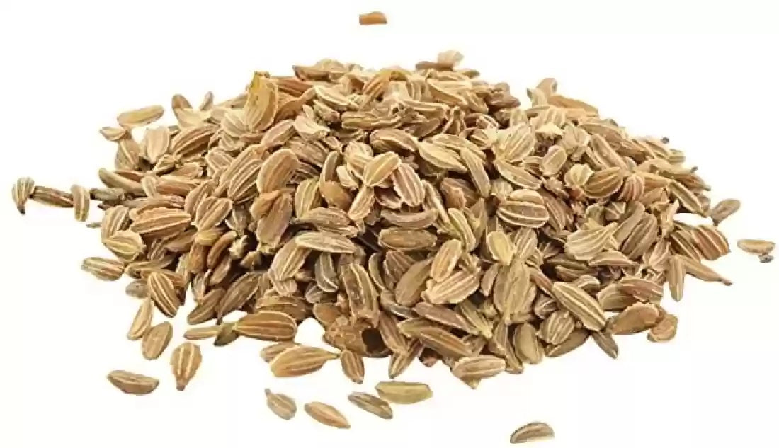 Carrot, Gajar Seed Carrot Seeds - Gajar ke Beej- Daucus carota Seed - Branzia Herbs