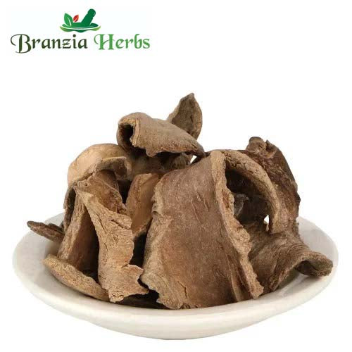 Bharangi Chhal - Baranghi Chaal - Bhadangi Bark - Clerodendrun Serratum - Branzia Herbs
