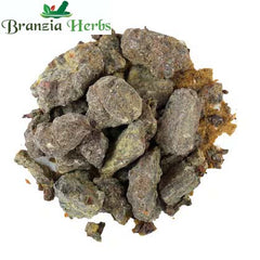 Bhikamali - Dikamali - Gardenia Gummifera - Branzia Herbs