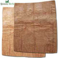 Bhojpatra Big Size ( 9 x 7.5 Inch) - Bhoj Patra - Bhojpattar - Birch - Betula utilis - Branzia Herbs