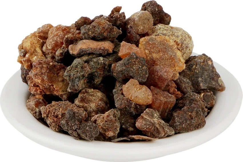 Bijabol - Hirabol - Myrrh - Murmukhi - Mur Makki - Commiphora myrrha Nees - Branzia Herbs