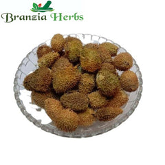 Bindaal Doda - Devdali - Bandal Phal - Thorn Gourd - Luffa Echinata - Branzia Herbs