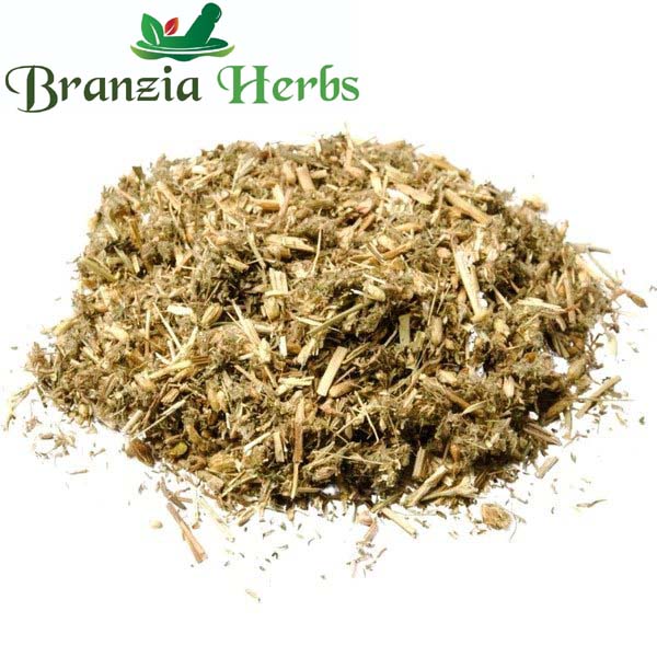 Biranjasipha- Gandana - Achillea millefolium - Yarrow - Milfoil - Branzia Herbs
