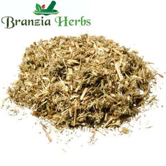 Biranjasipha- Gandana - Achillea millefolium - Yarrow - Milfoil - Branzia Herbs