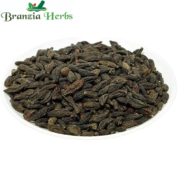 Black Himej - Kali Harad - Small Black Harad dried Terminalia Chebula – Myrobalan Raw - Branzia Herbs