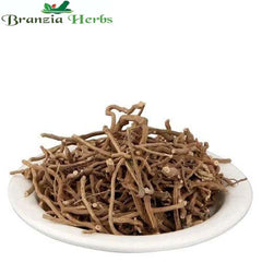 Chab - Chabya - Piper retrofractum - Branzia Herbs