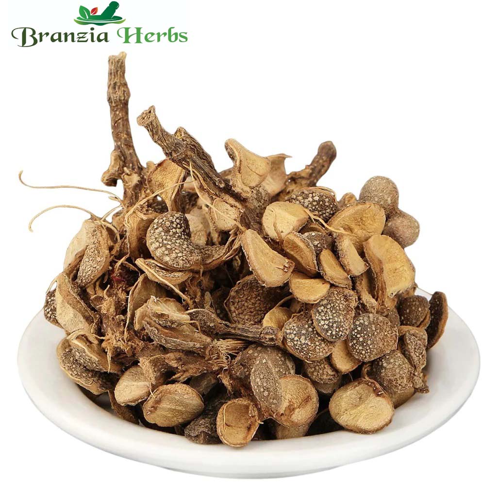 Champawati - Plumeria Obtusa dried-Raw Herbs-Jadi Booti - Branzia Herbs