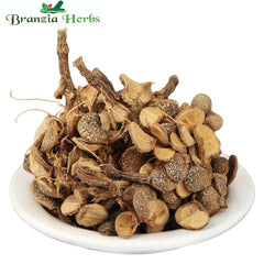 Champawati - Plumeria Obtusa dried-Raw Herbs-Jadi Booti - Branzia Herbs