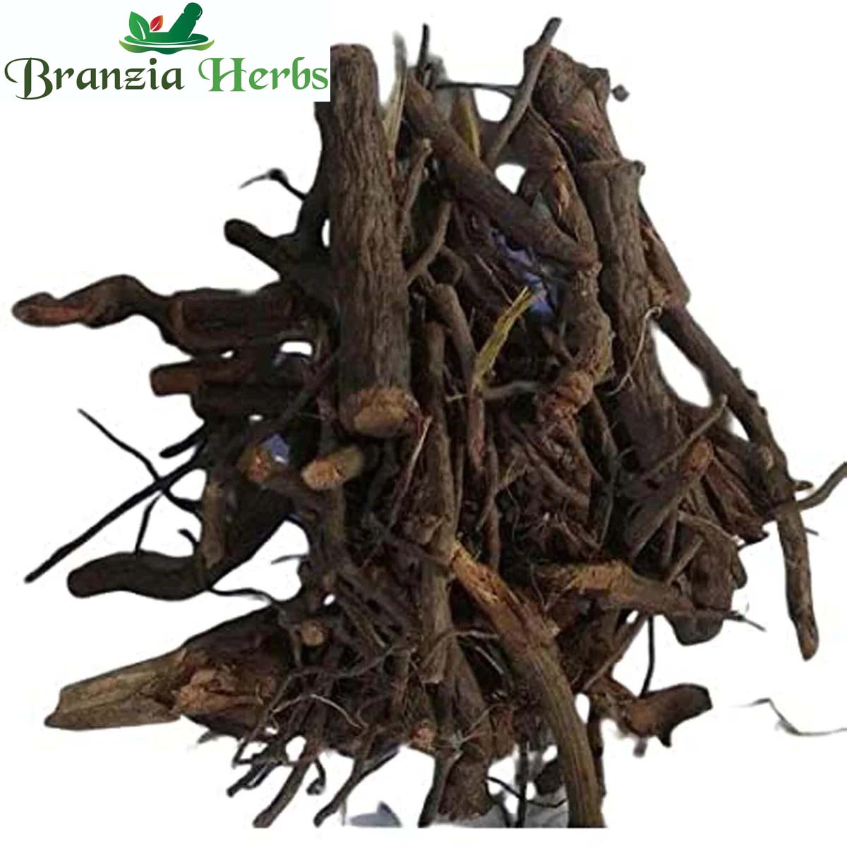 Chitrak Bark-Chita Chaal-Chita root -Chita Chal dried-Plimbago - Branzia Herbs