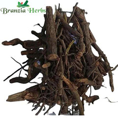 Chitrak Bark-Chita Chaal-Chita root -Chita Chal dried-Plimbago - Branzia Herbs