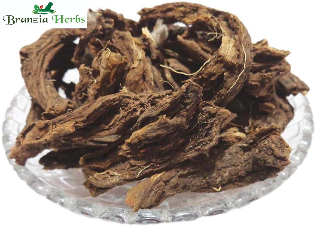 Chokh Lakdi-Chokh Wood dried - Branzia Herbs