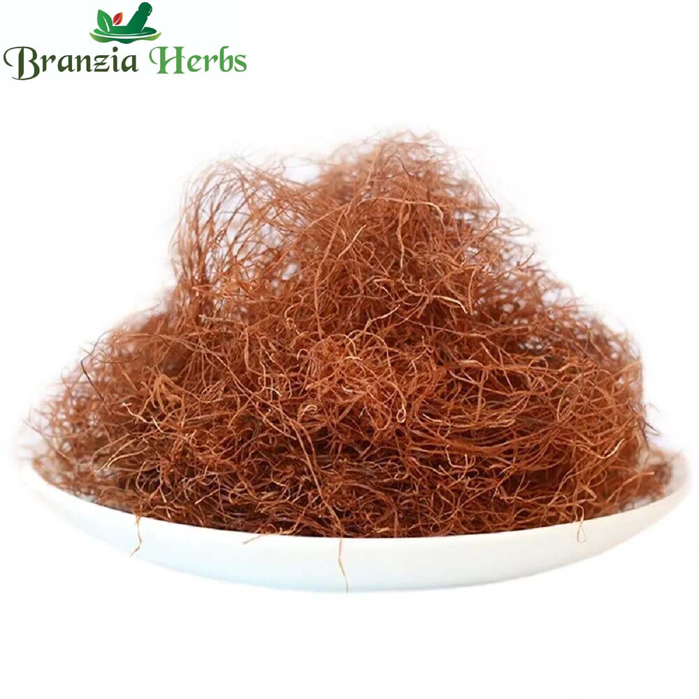 Corn Silk - Bhuttey Ke Baal - Maize Hair - Stigma Maydis - Branzia Herbs