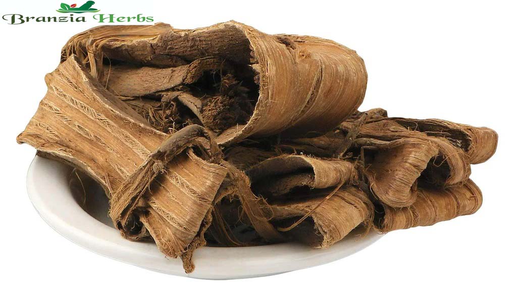 Dandasa - Walnut Tree Peel - Akhrot Chhal dried - Branzia Herbs