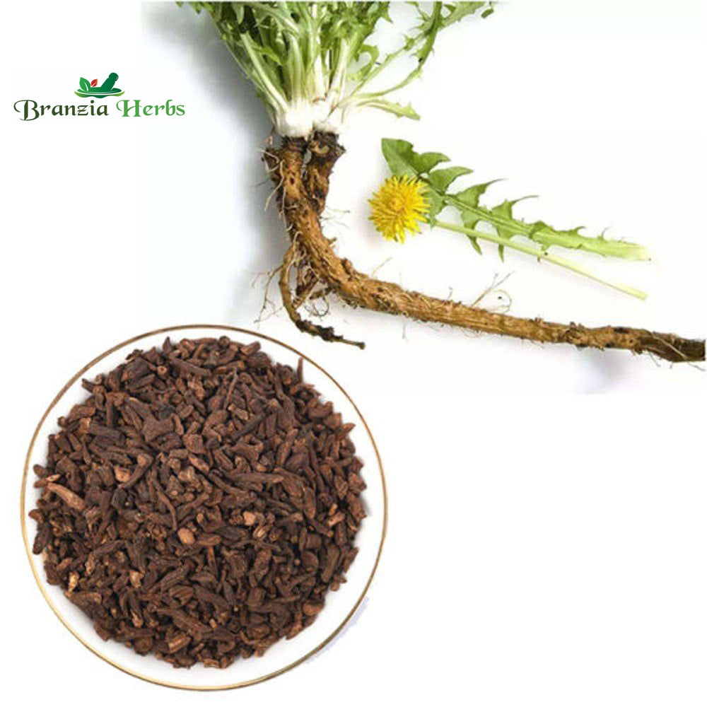 Dandelion Roots-Singhparni Jadd - Branzia Herbs