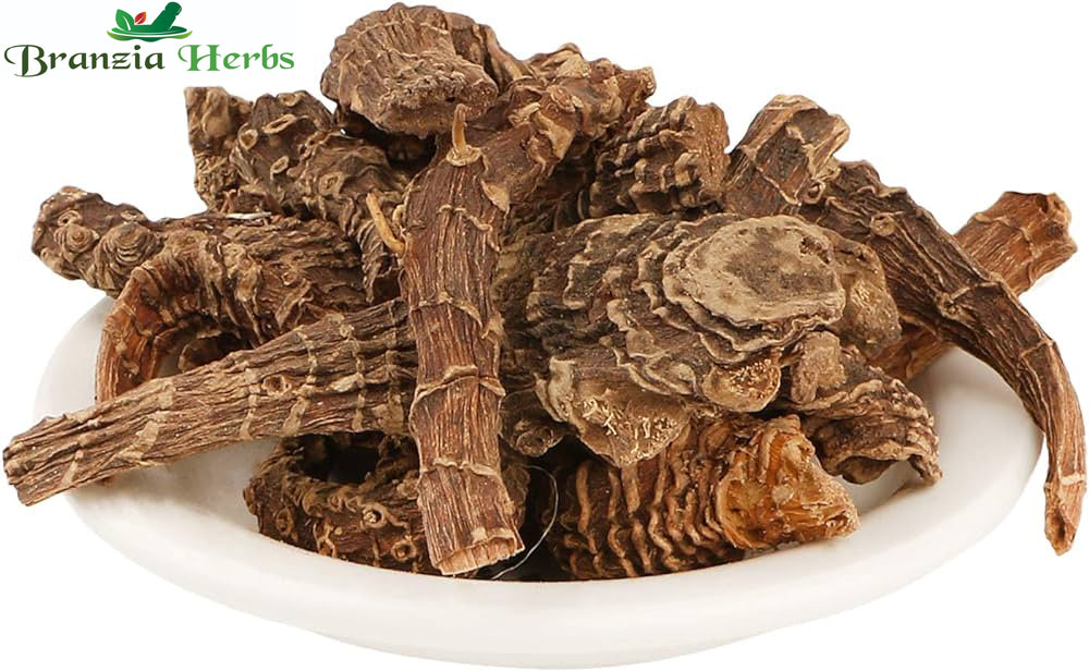 Darunaj-Doronicum-hookeri Darunaj Aqrabi | Tarang | Doronicum hookeri Clarke - Branzia Herbs