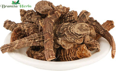 Darunaj-Doronicum-hookeri Darunaj Aqrabi | Tarang | Doronicum hookeri Clarke - Branzia Herbs