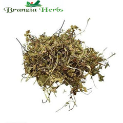 Dronpushpi Panchang - Guma - Thumbai - Branzia Herbs