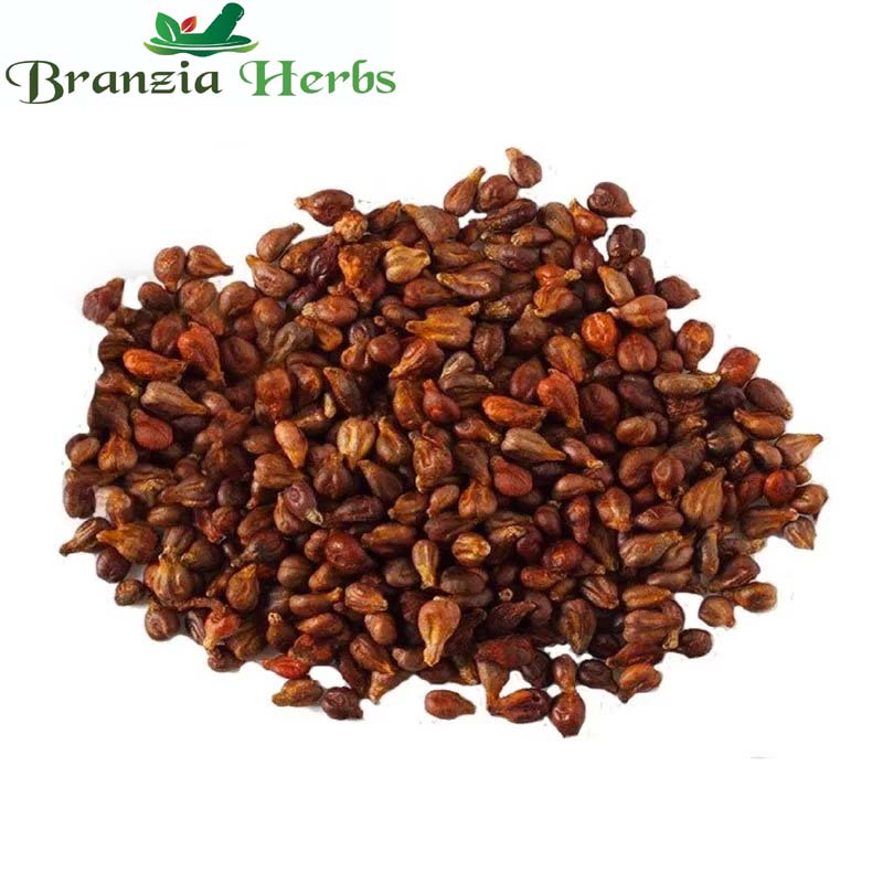 Pure Organic Whole Dried Grape Seeds Angoor Beej Edible Dry Angur Beej Drakha - Branzia Herbs