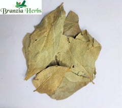 Harshringar Patta - Paarijaat Leaf - Parijat Leaves -Harshingar Patta dried - Nyctanthes arbor-tristis - Branzia Herbs