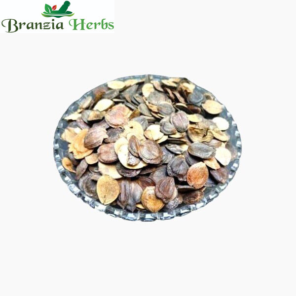 Harshringar Seeds Edible- Beej Harshingar - Paarijaat Beej - Parijat Seeds - Nyctanthes Arbor Tristis - Branzia Herbs