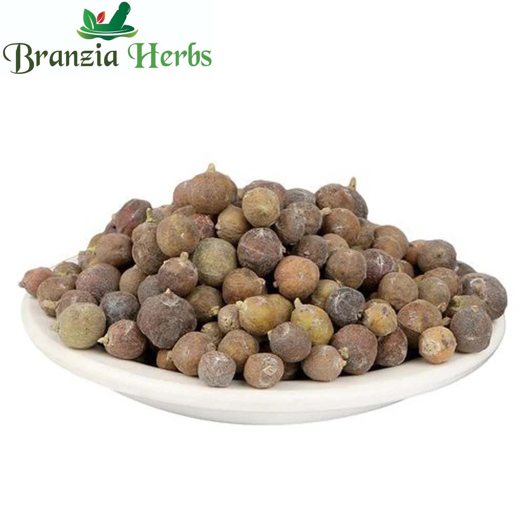 Hauber – Juniperus communis Linn Dried- Juniper Berry Raw - Branzia Herbs