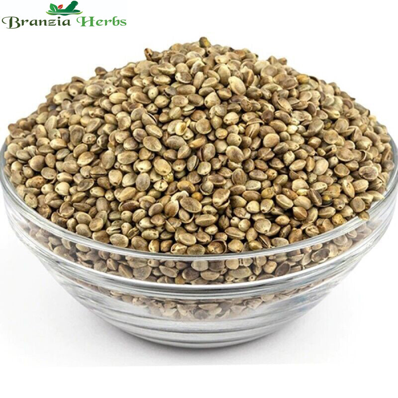 Hemp Seeds - Bhang Beej - Bhaang Beej - Vijaya - Shivpriya - Branzia Herbs