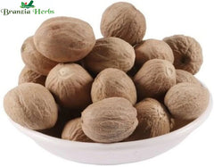 Jaiphal (Asli) - Nutmeg - Jayfal - Jayphal - Jaifal - Myristica Fragrans - Branzia Herbs