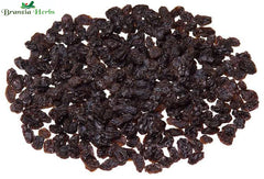 Zarishk Mithi - Berberis Aristata - Jarishk Meethi - Dried Ber berry - Branzia Herbs