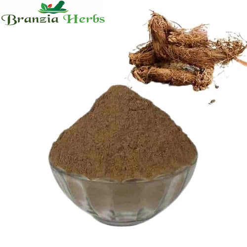 Jatamansi Root Powder - Balchad Powder - Jatamasi Jadd Powder - Branzia Herbs