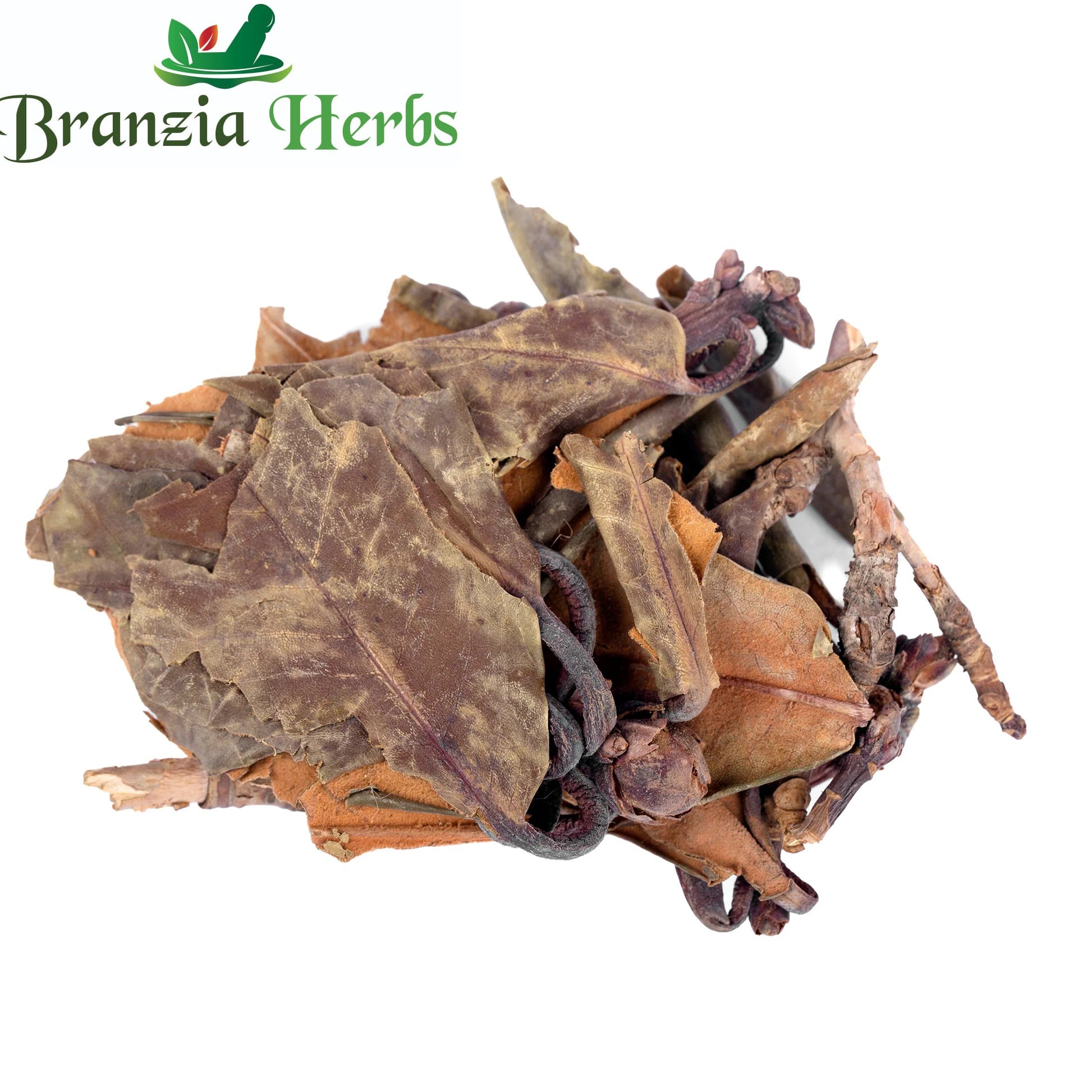 Kashmiri Patta - Kashmere Leaves - Branzia Herbs