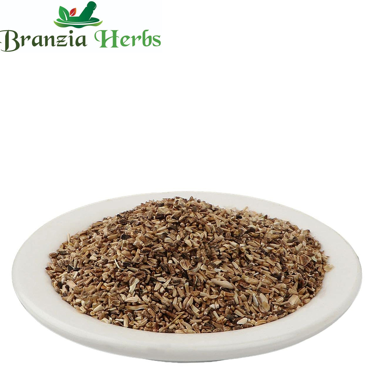 Kasni (Panchang) - Kasini - Kaasni - Chicory - Cichorium intybus - Branzia Herbs