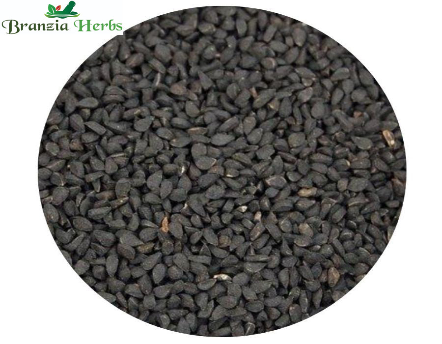 Kalonji Beej-Nigella Sativa-Raw Herbs- - Branzia Herbs