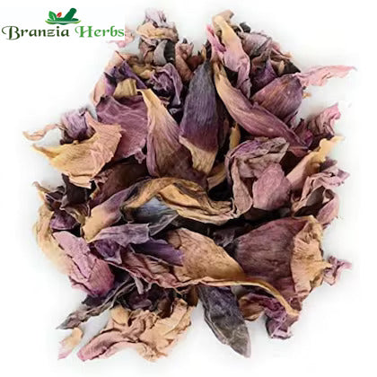 Kamal Phool Dry- Dried Lotus Flower - Raw Herbs Nelumbo Nucifera Jadi Booti - Branzia Herbs