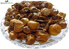 Kateri Fruit-Katehli Fal-Solanum Xanthocarpum-Bhatkatiya-Kantakari Dried- Katehri Phal - Branzia Herbs