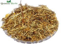 Kateri Panchang-Solanum Xanthocarpum-Bhatkatiya-Kantakari-Katehli dried-Katehri Panchang Raw Herbs/Jadi Booti - Branzia Herbs
