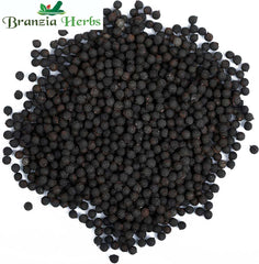 Kateri Seeds - Bhatkatiya - Kantakari - Katehri Beej Beej Kateliied Raw Herbs-Jadi Booti - Branzia Herbs