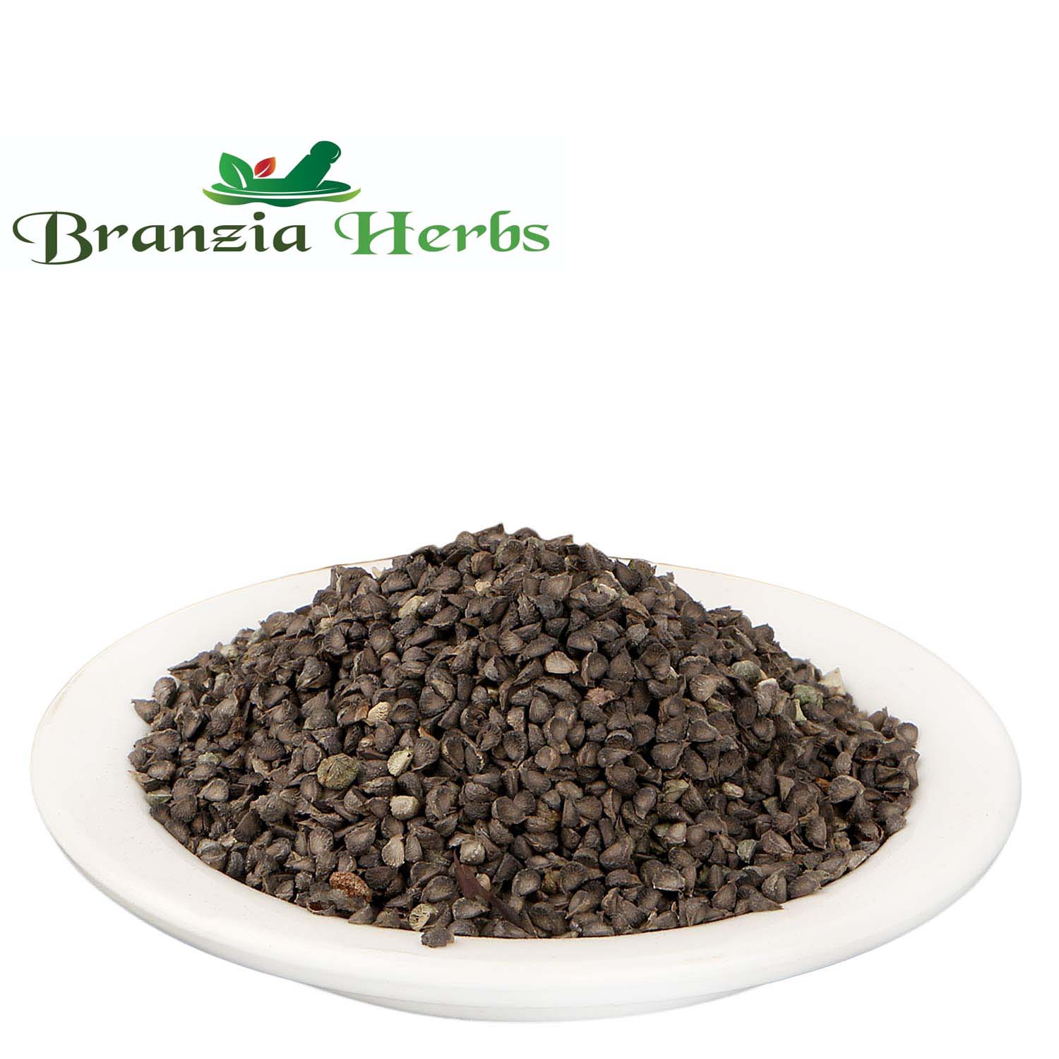 Khareti Seeds - Kharaiti Beej - Balaa Beej - Atibala - Abutilon Indicum Raw Herbs - Branzia Herbs