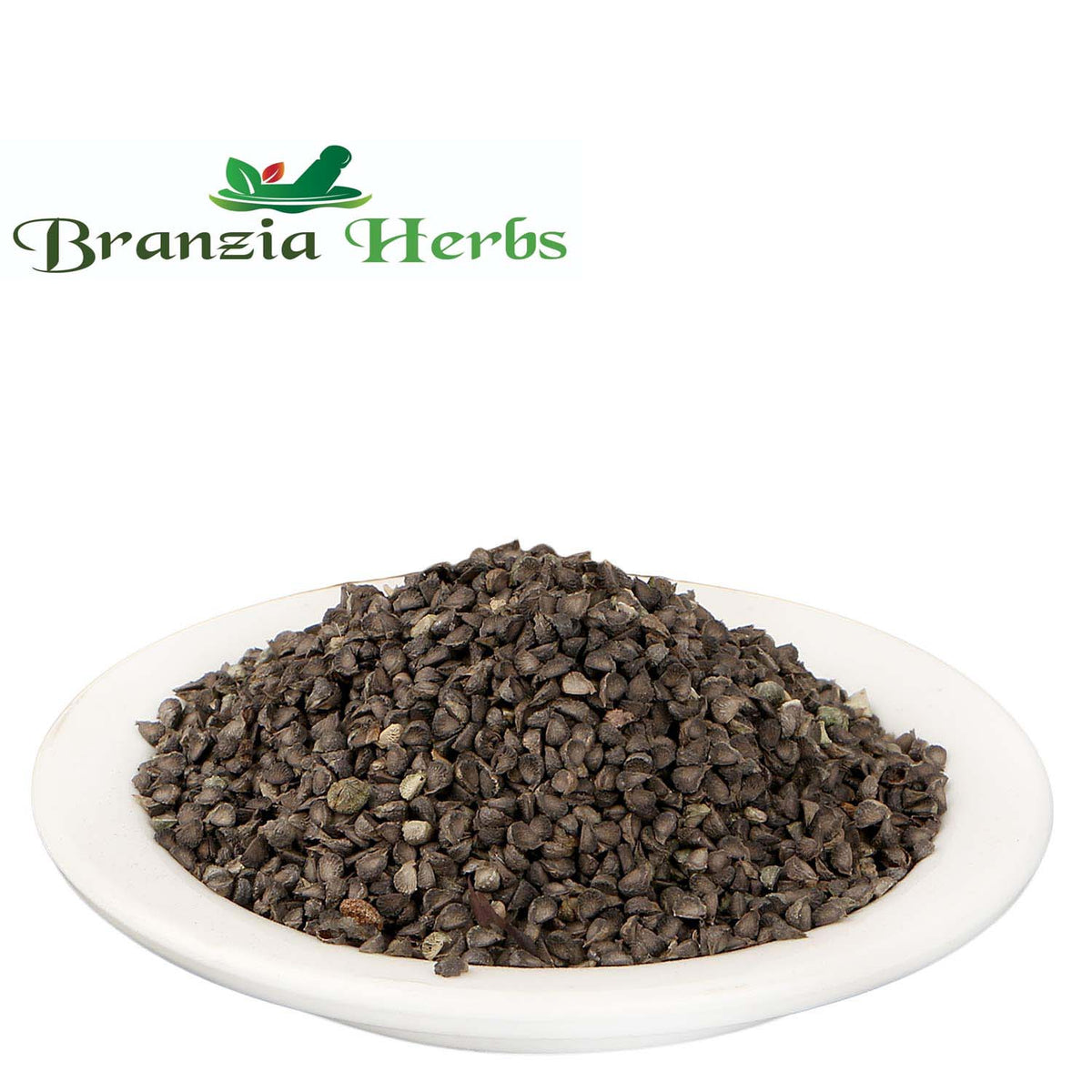 Khareti Seeds - Kharaiti Beej - Balaa Beej - Atibala - Abutilon Indicum Raw Herbs - Branzia Herbs